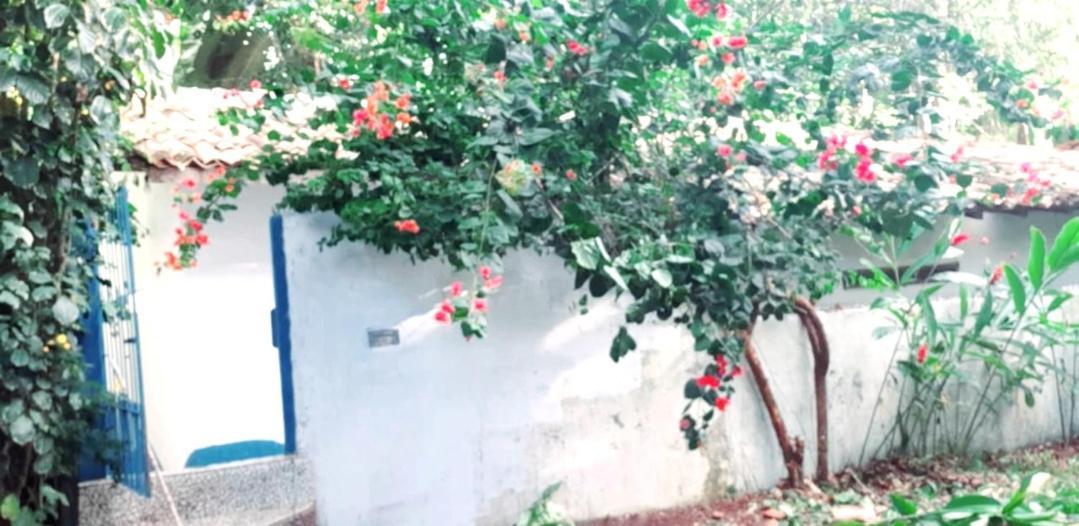 Arraial Casinha Centro Villa Porto Seguro Eksteriør bilde